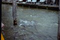 Thailand 2001-BcK02